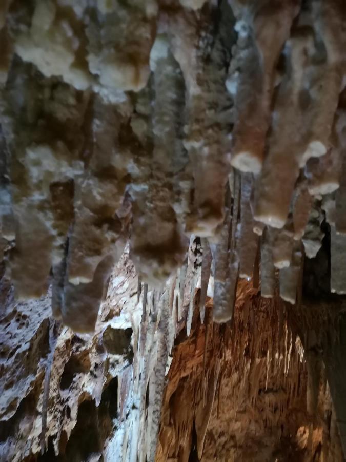 Accogliente Dimora 3*
